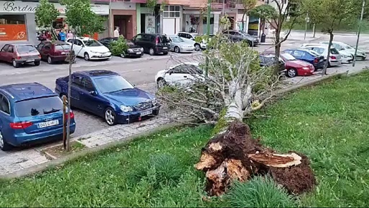 Temporal
