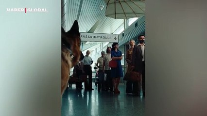 Aldi'nin Türk gurbetçi temalı çikolata reklamı viral oldu