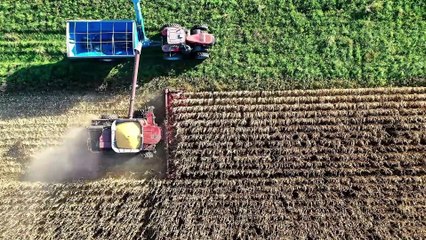 Jeet Potassium Humate for Soil Fertility 🌱