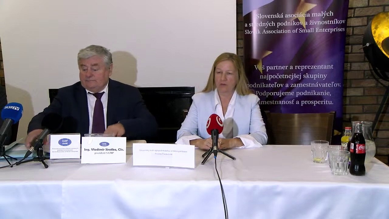 ZÁZNAM: V. Sirotka: Okrem konsolidácie je potrebné zlepšovanie prostredia pre malé firmy