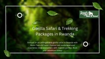 Gorilla Safari & Trekking Packages in Rwanda