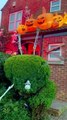 Some ghoulish goings on at one Doncaster house this Halloween