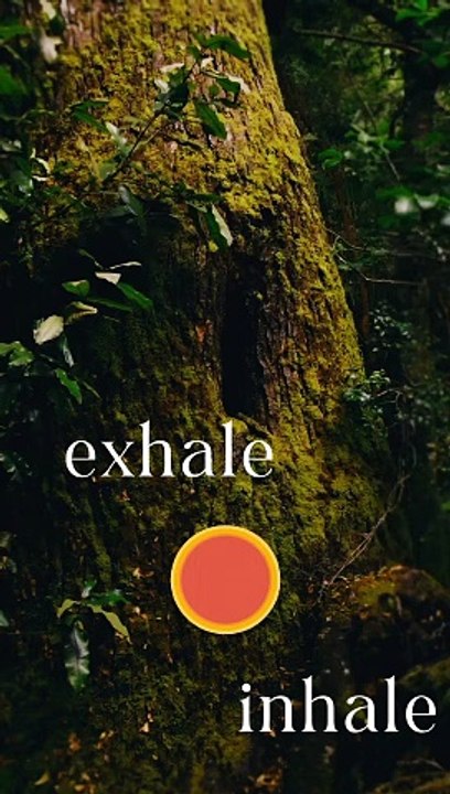 Exhale Inhale