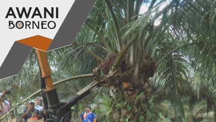 Teknologi baharu menuai tangani isu tenaga kerja