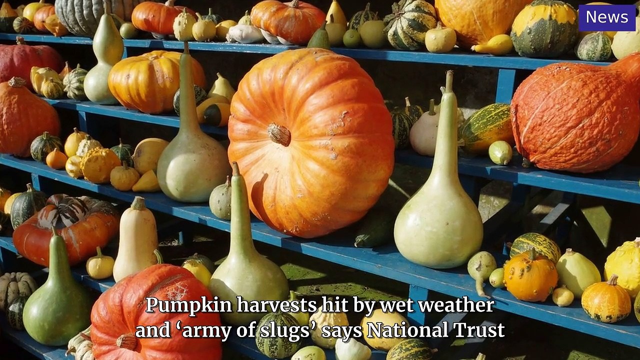 National World Top Stories Update 9 October, 2024