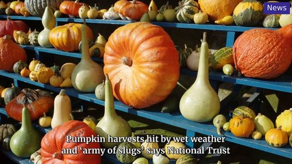 National World Top Stories Update 9 October, 2024