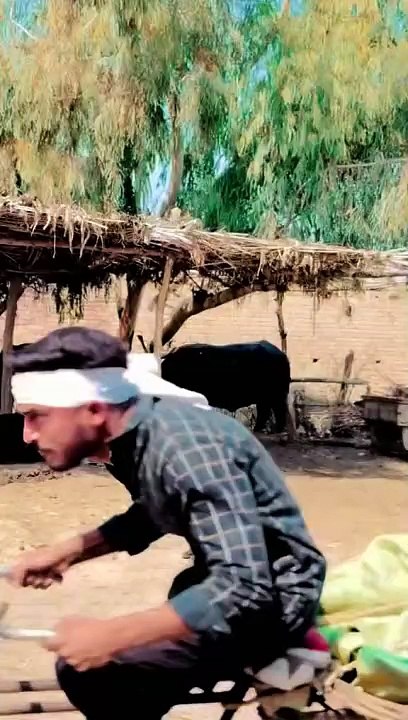Funny  video
