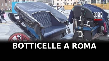 Le botticelle di Roma: attrazione per i turisti o calvario per i cavalli