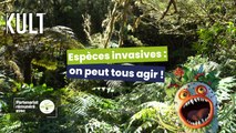 Espèces végétales et animales invasives : on peut tous agir