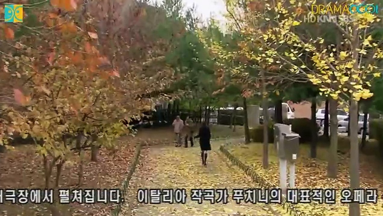 Snow Flower - 눈꽃 - E5