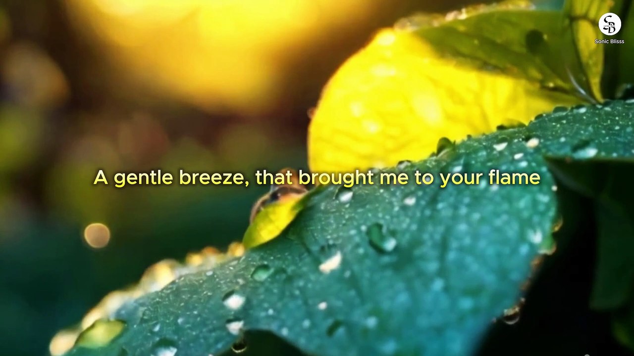In the Whisper of Faith | English song | New song | Trending song | Sonic Bliss