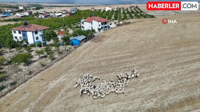 Yaylacılar Dönüş Yolculuğunda Zorluklarla Karşılaşıyor