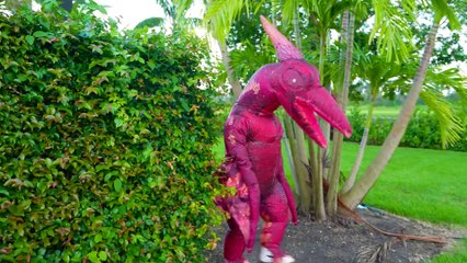 Nastya tells children at school about professions