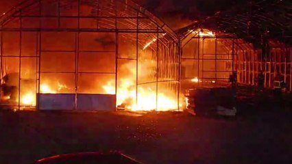 시흥 비닐하우스에서 화재...인명피해 없어 / YTN