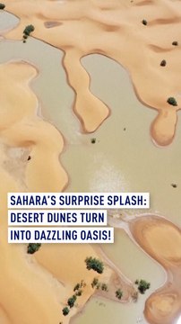 Sahara's Surprise Splash: Desert Dunes Turn into Dazzling Oasis!