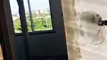 VIDEO-03