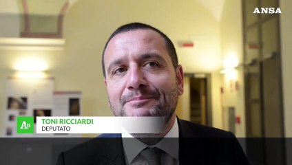 Giornata dell'Emigrazione al Senato: "Fenomeno che ha segnato il nostro Paese"