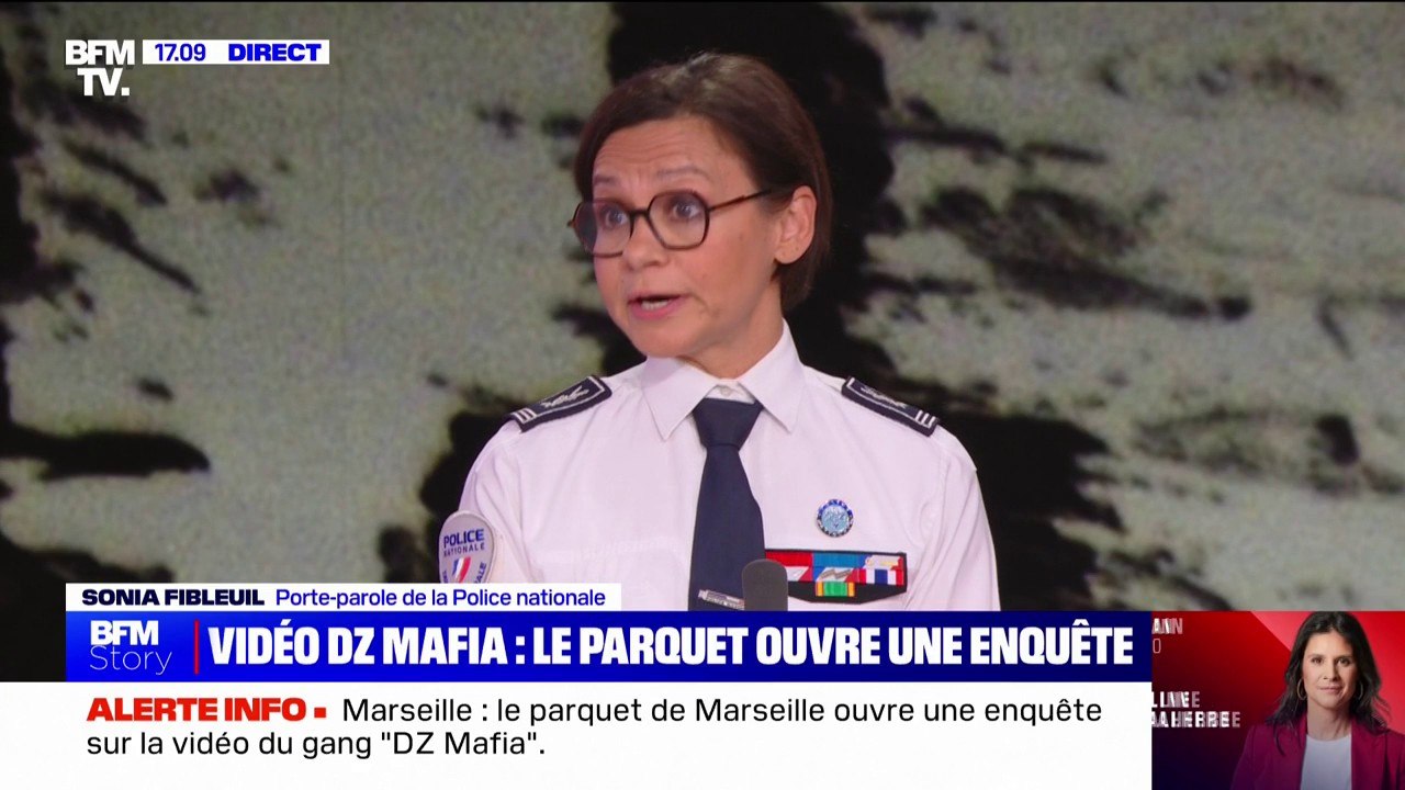 "On s'affranchit de la responsabilité": la porte-parole de la police nationale réagit à la vidéo postée par le gang marseillais DZ Mafia