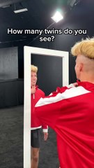 How Many Twins Can You Spot