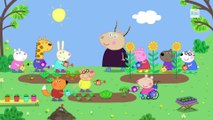 Peppa Pig - S9E59 - Il giardino della scuola