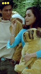 OUTSTANDING PERFORMANCE BY SHAHRUKH KHAN IN CHALTE CHALTE MOVIE 