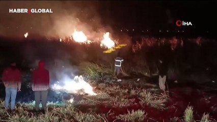 Yüksekova’da Nehil sazlığı alev alev yandı