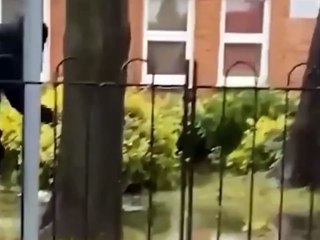 Funny video #funny #viral #trending #comedy #short #viralshorts #entertainment #fun