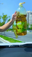 Colourful escapes|colouring by numbers|drawing|art