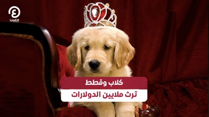 كلاب وقطط ترث ملايين الدولارات