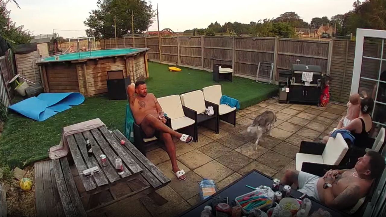 Unexpected chaos: 2-year-old boy jumps into pool without any floating aid on