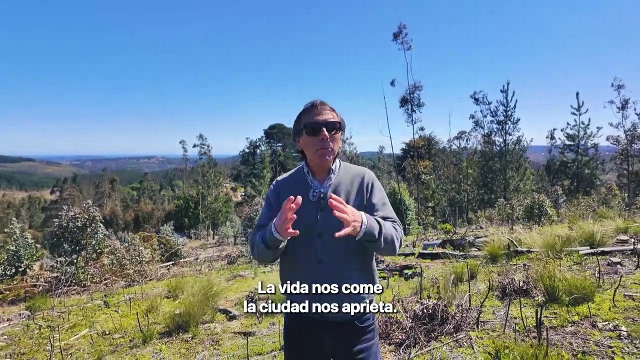 Sanluisdegonzaga