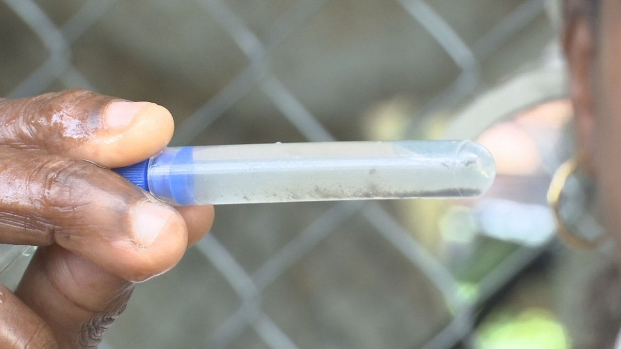 Autoridades aplicarán nuevas estrategias contra el dengue en San Miguelito