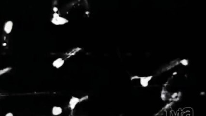 Opening and closing to CRiTORA: Abnormal (2024) German 35mm Film Print