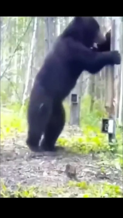 Funny video! Comedy video