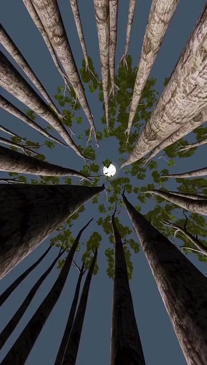 Viral | Trending | Wow | Chill | Relax | ASMR