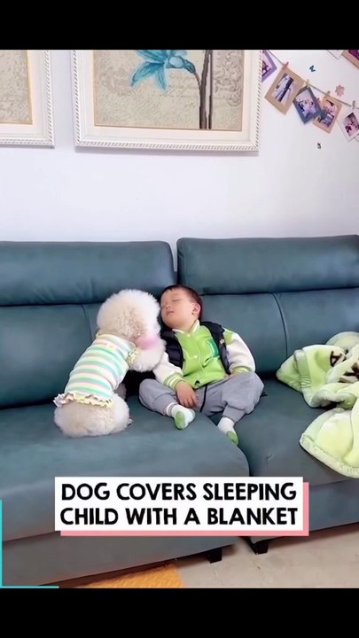 Coolest Care