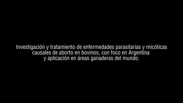 Investigación y tratamiento de enfermedades parasitarias y micóticas causales de aborto en bovinos - UNMdP