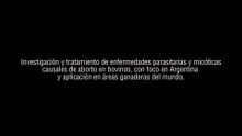 Investigación y tratamiento de enfermedades parasitarias y micóticas causales de aborto en bovinos - UNMdP