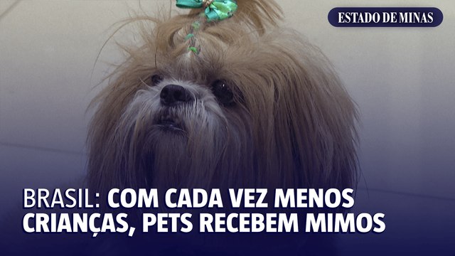 Brasil: com cada vez menos crianças, pets recebem mimos
