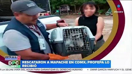 La Guardia Nacional detienen a dos integrantes del CJNG