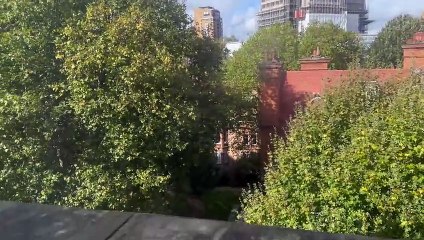 David Icke @ London 2024