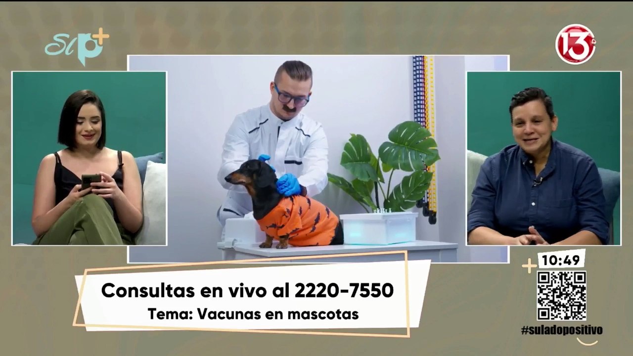 Entrevista - Todo lo que debe saber sobre las vacunas de su mascota