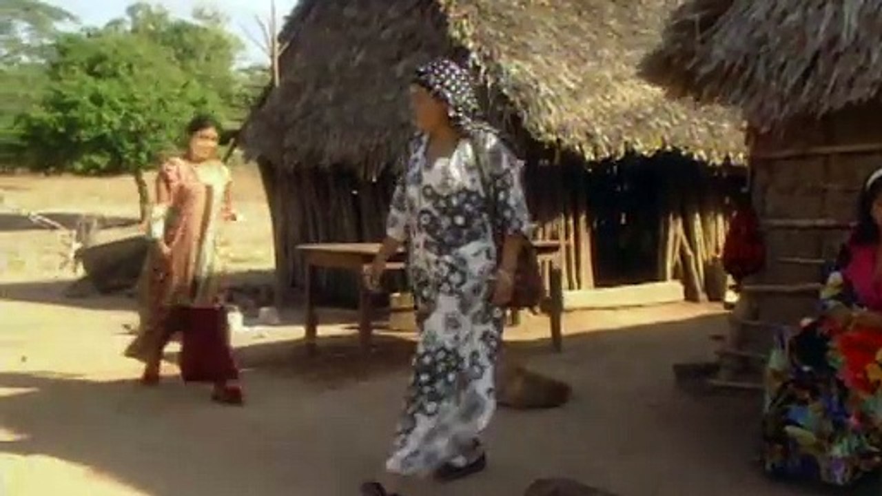 PROMO GUAJIRA REF 2