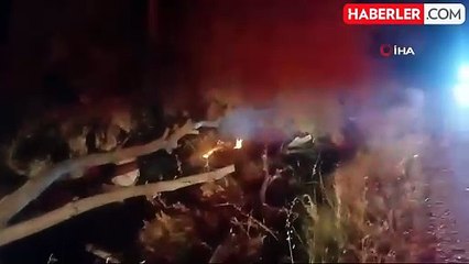 Çorum'da Anız Yangını Ağaçlara Zarar Verdi