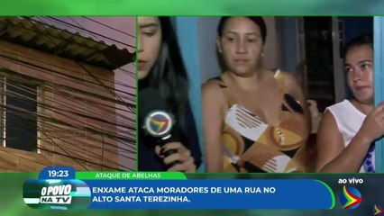 Enxame ataca moradores do Alto Santa Terezinha, na Zona Norte do Recife