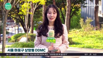 [날씨] 오늘 아침도 쌀쌀, 일교차↑ / 24.10.10