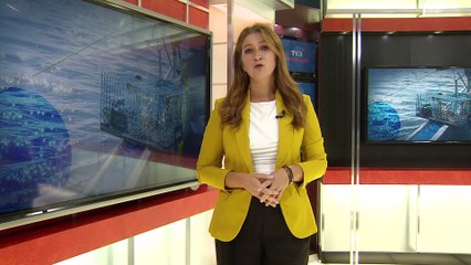 TVA Nouvelles CHAU 18h 9 octobre 2024