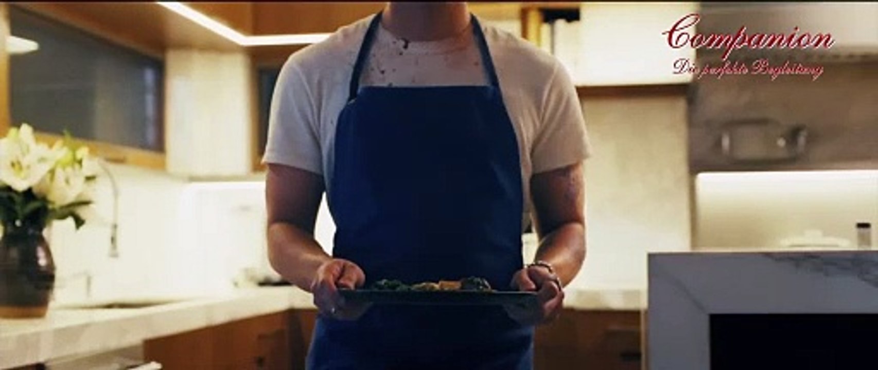 COMPANION DIE PERFEKTE BEGLEITUNG Film