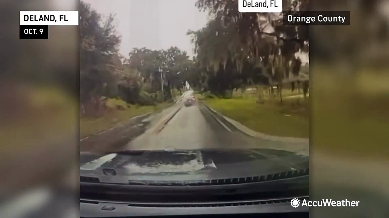 Dashcam video captures the scary moment a tree lands on a car video