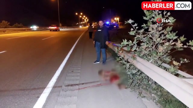 Başıboş Köpek Kazaya Sebep Oldu: 1 Yaralı